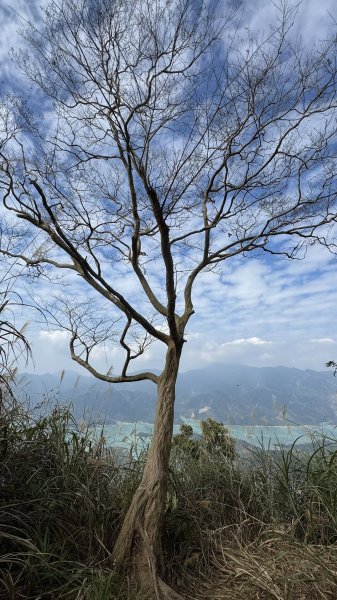 20260127小百岳三腳南山2990288