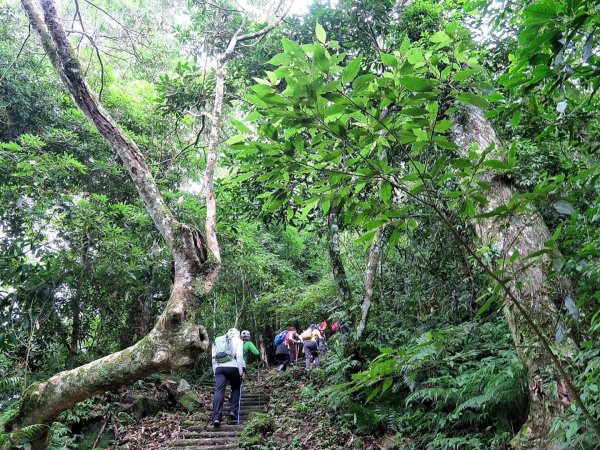 小百岳#37～馬那邦山 976658