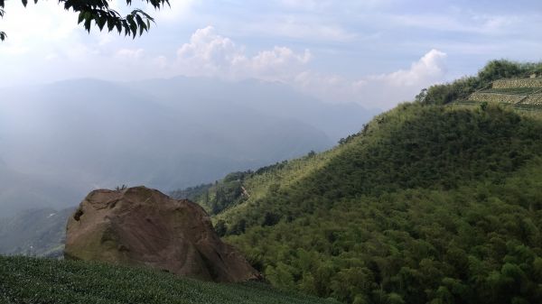 後棟仔山+挑筍古道+大尖山345603