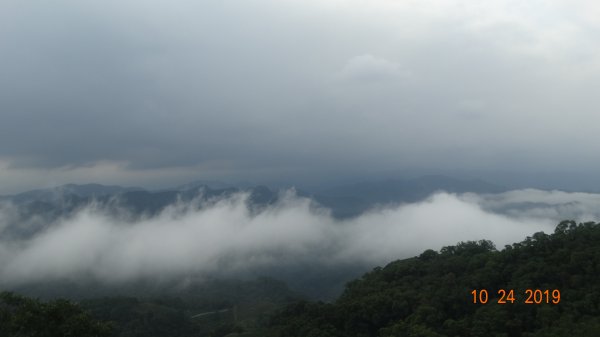 朝陽步道&粉鳥林&石碇雲海712088