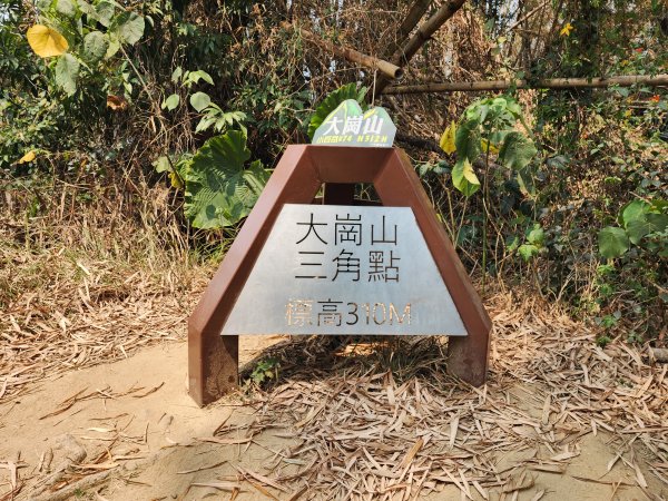 小百岳No.74⛰大崗山3025125