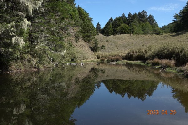 南投 仁愛 武法奈尾山2133772