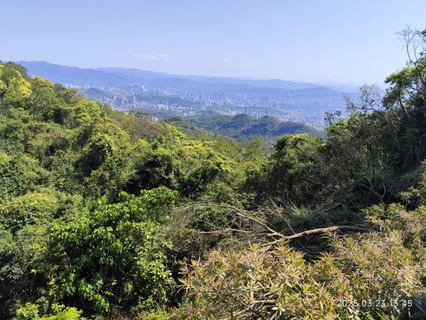 【臺北大縱走 5】碧山巖→忠勇山越嶺步道→金龍產業道路→圓明寺步道→鄭成功廟步道→文間山→劍潭山步道2744822