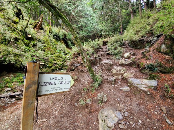 郡大碰碰車952497