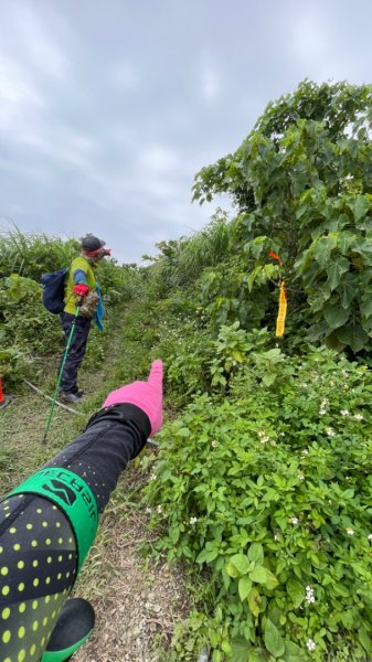 蘭嶼三天三夜-紅頭山小百岳完百小旅行2752693