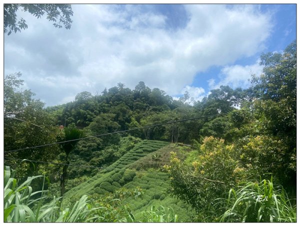 碧湖山 (碧鳳山) (嘉義、梅山)2846349