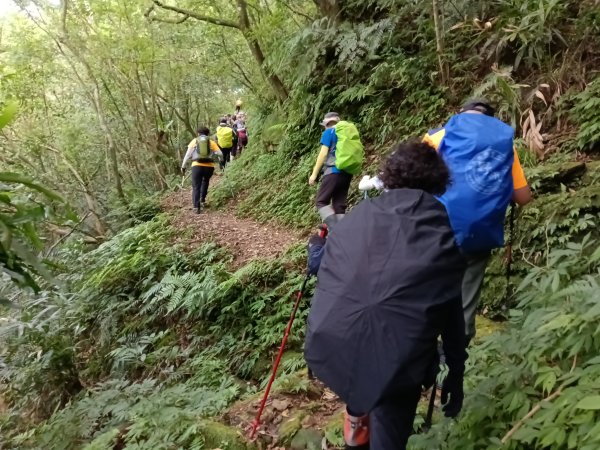 雙溪區大湖尾古道+灣潭古道O型2874798