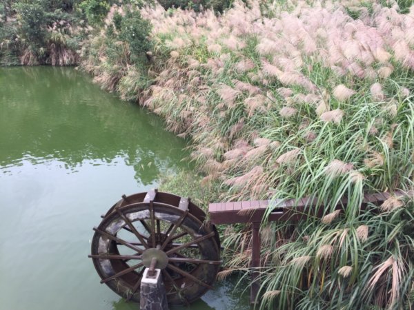 北縱七段抓了10隻博蒂742221