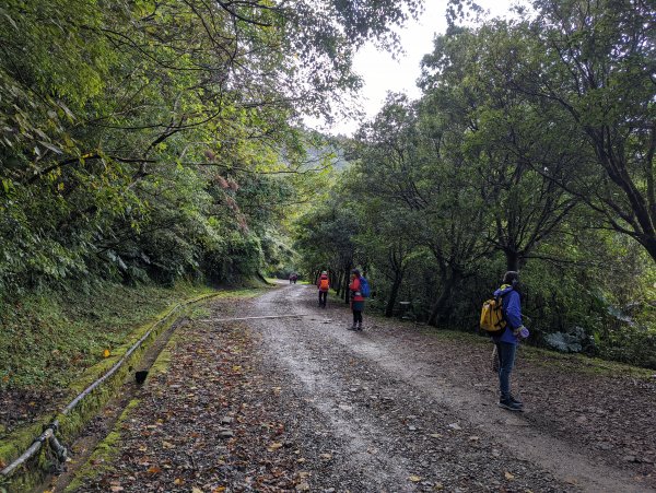 【百大必訪步道】東滿步道1520734