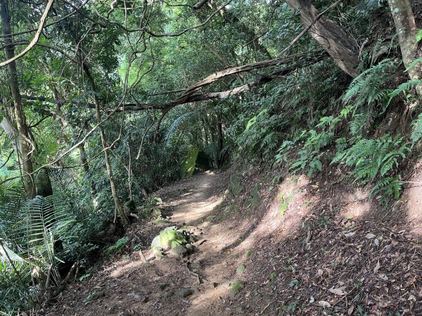 [皮皮獅探險隊-01/10] 2025_0706 六寮古道2830736