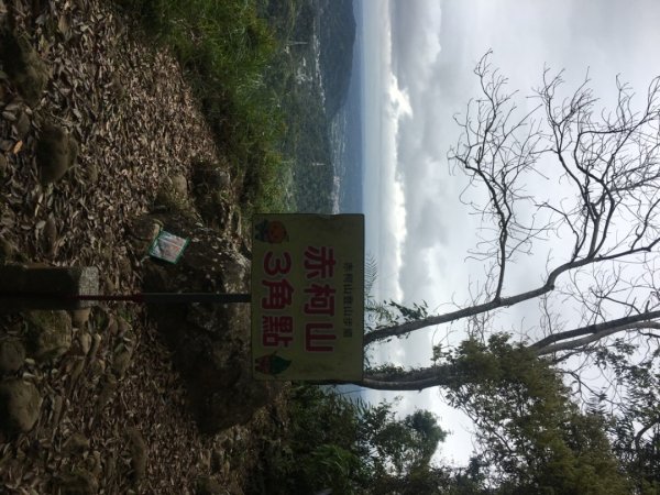 赤柯山、東獅頭山2748539