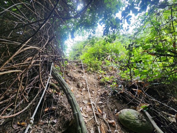 20250223田中大小劍與橫山2939834