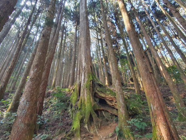 特富野古道1303985