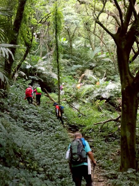 🌈10/19（日）雙石縱走（石牛+石門）✨FB：熊熊趴爬走🌈2921463