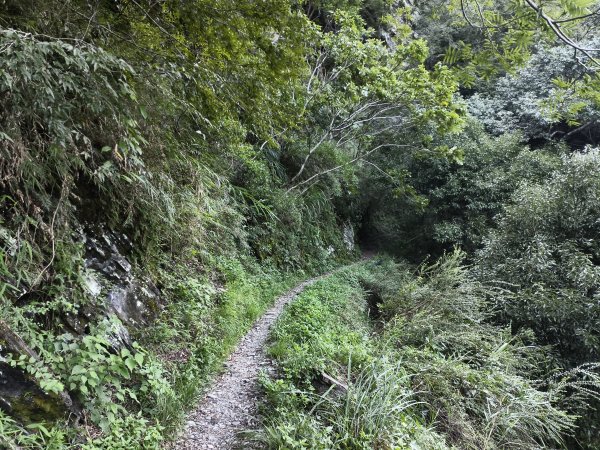 [玉山尋寶任務-07/12] 2025_0824 八通關雲龍瀑布步道2870495