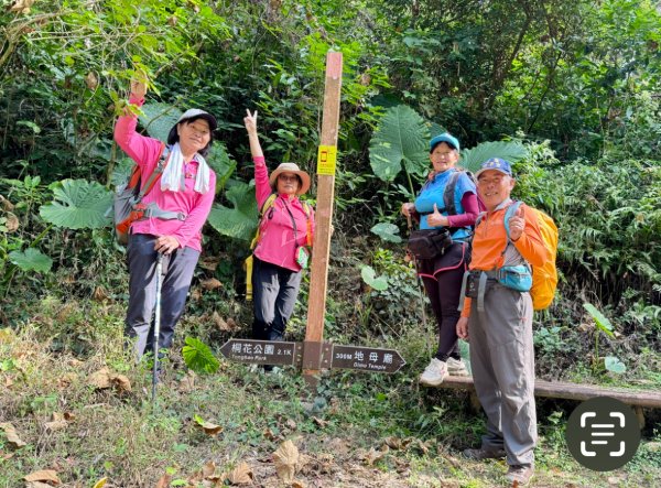 古坑地母廟走荷苞山(登山步道)訪小溪子山2947127