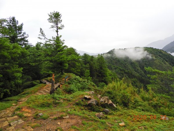 南投 信義 鹿林前山、鹿林山、麟趾山1079377