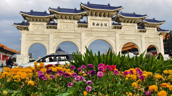 #虎山  #101大樓  #國父紀念館 #河津櫻 #中正紀念堂 2/193002657