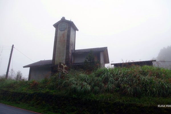 太平山山毛欅步道1148212