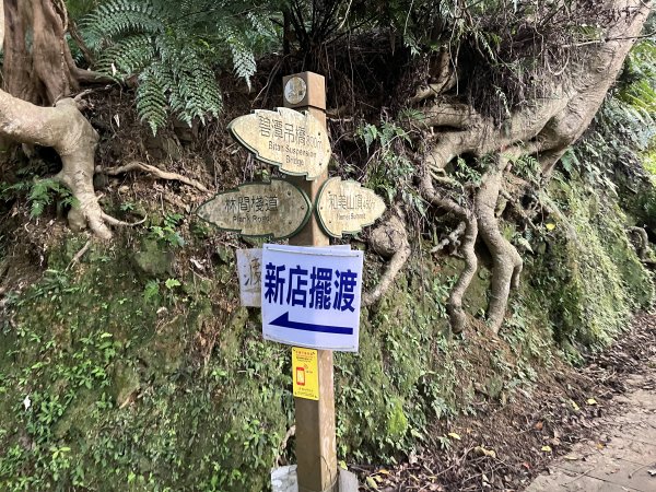 [微笑山線_第六段] 2025_0807 二格山系_和美山螢火蟲段2854609