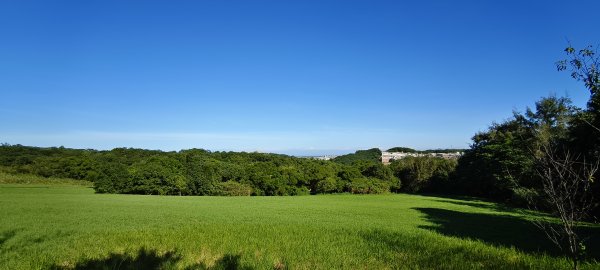 2025/11/09-青青草原步道2933464