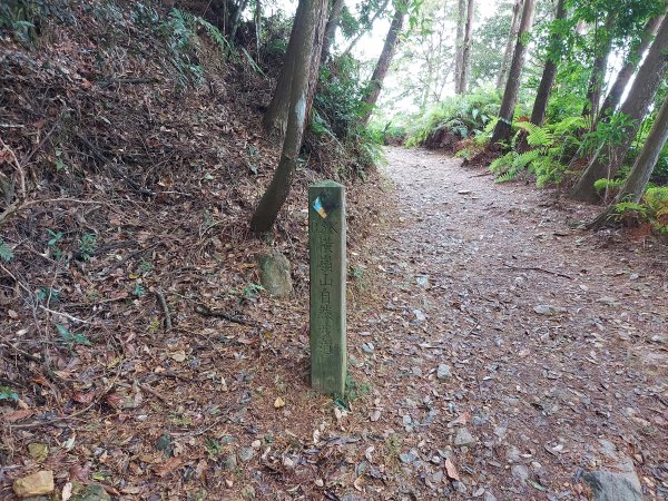 橫嶺山步道走走1219162