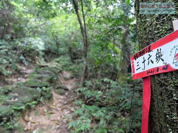 【淡基橫斷古道東段】擎天崗-大武崙