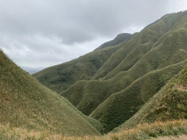 宜蘭抹茶山702830