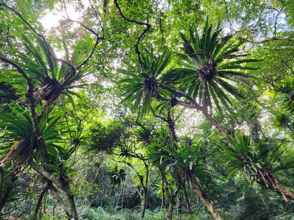 小百岳No.17⛰二格山