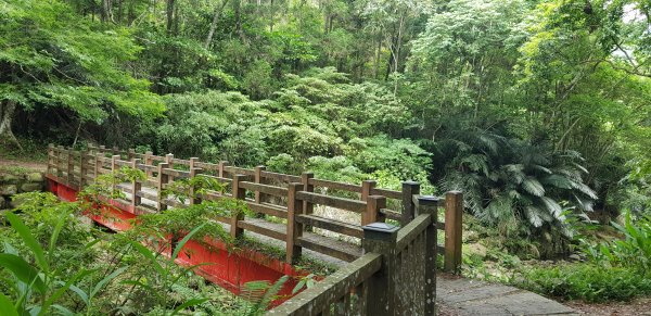 四十二份坪(湧泉)步道943397