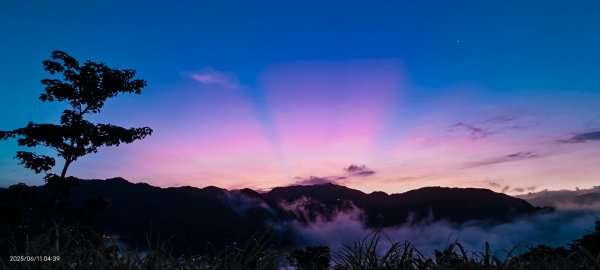 跟著雲海達人山友追雲趣 #草莓月亮 #月圓雲海 #霞光 #日出雲海 #茶園 6/112808768