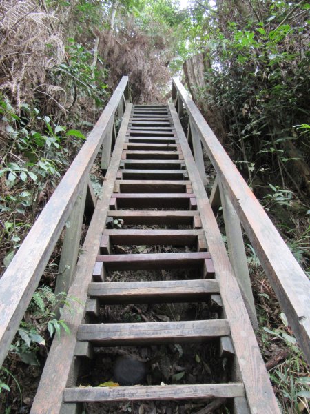 20200321-白毛山886570