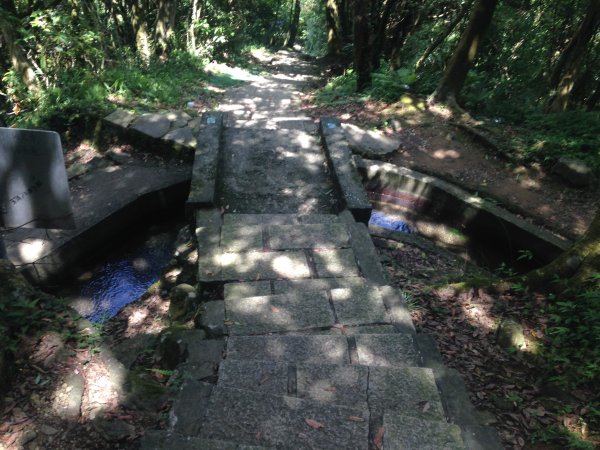 坪頂古圳親山步道587017