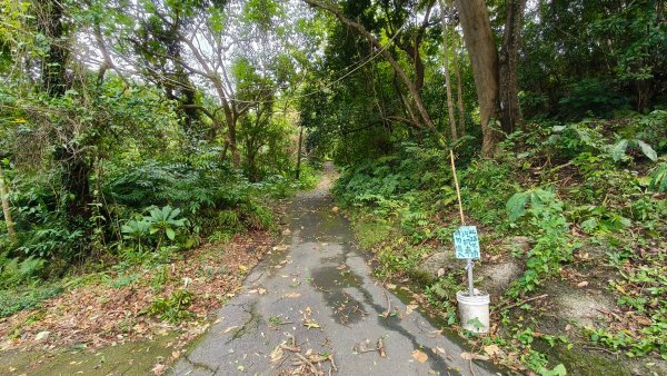 燕溪古道-大崙尾山西峰-仙座台山-圓明寺步道2926527