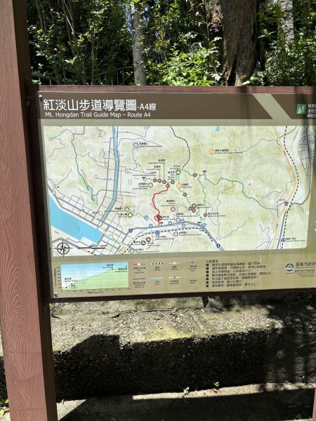 紅淡山3043528