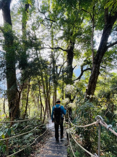 1141129巨人之手｜雪山坑登山步道2949159