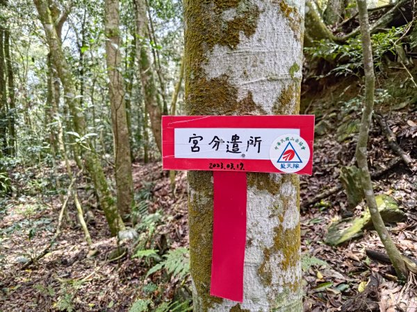 鳴海山、龍頭山步道2157071