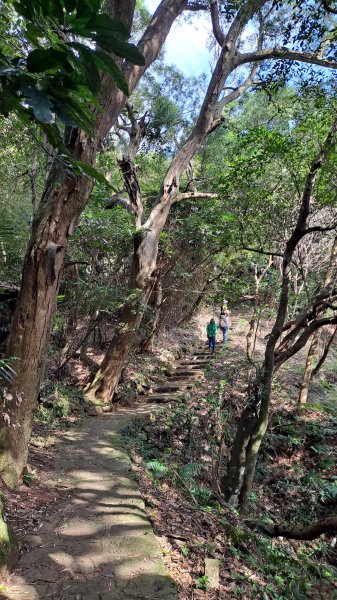 台北大縱走第一段1249149