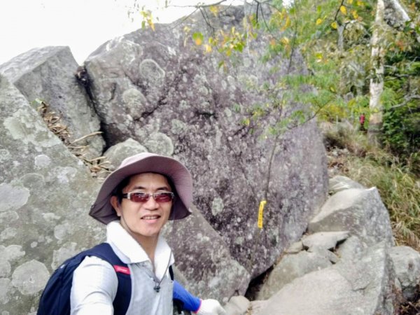 谷關七雄之東卯山（5）736191