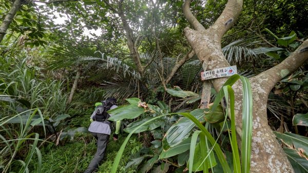 114.06.08門牙岩之O型2806620