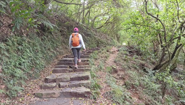 (姨婆趴趴走)第五十一集:台北冷擎步道、金包里大路(魚路古道)2757240