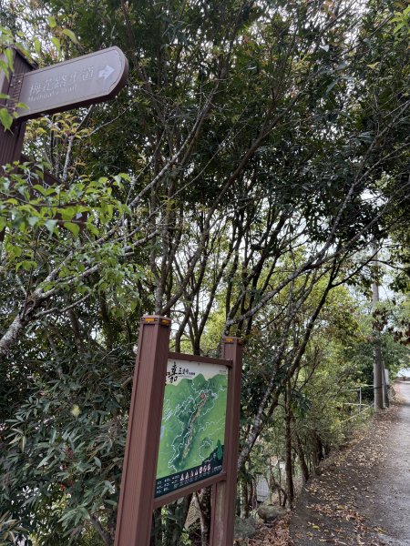 1150322雲嘉8連峰3023017