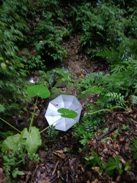 平溪區平溪子山遇雷雨O型2850159