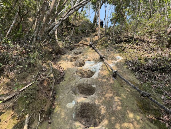 [微笑山線_第八段] 2026_0411 二格山系_炙子頭山3035075