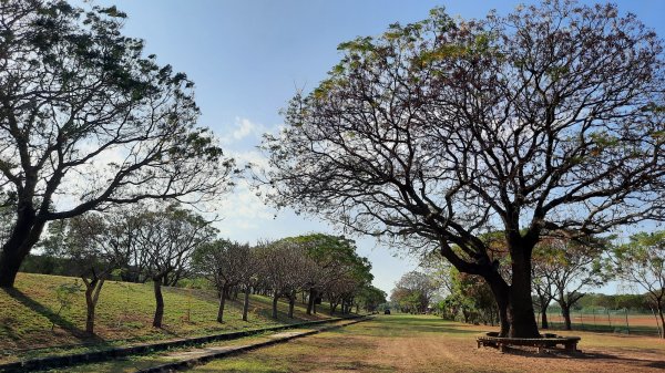 《彰化》堤岸漫步｜大肚溪棒壘場202301141995056