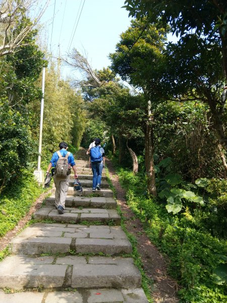 觀音山硬漢嶺876523