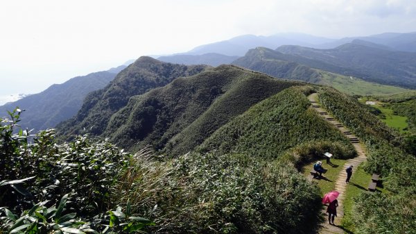 灣坑頭山，大里上大溪下1993811