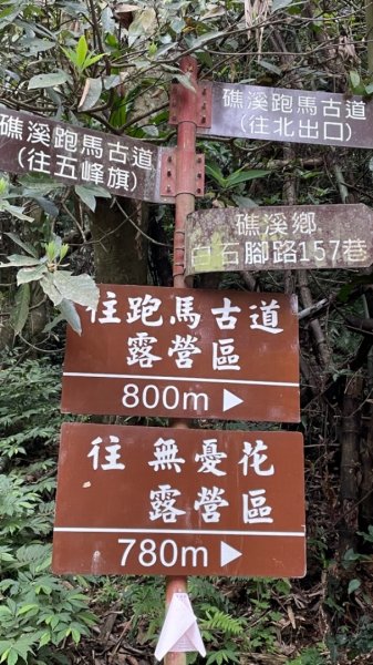 1100313宜蘭鹊子山+跑馬古道1304120