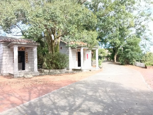 雙溪區冬陽下閃閃菅芒花2949421