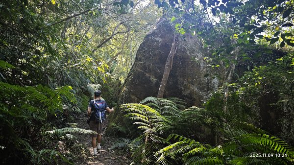 20251109 士林站到大湖站(福山宮_腰繞_燕溪古道_翠山步道_龍船岩_大溝溪)2932343